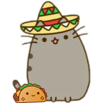 / Team taco /