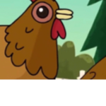 Chickens only (: