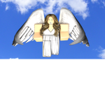 The Angel Hotel