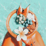 ɢʀᴀᴄɪᴇ’ꜱ ᴀᴘᴘᴀʀᴇʟ