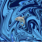 -|- SHARKS -|-