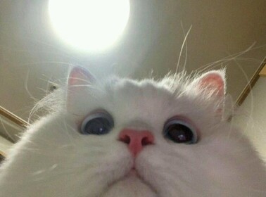 Ke3zn