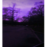 BRᴀYDᴇɴS ROOᴍ