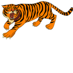 Tigers Are Awesome:)