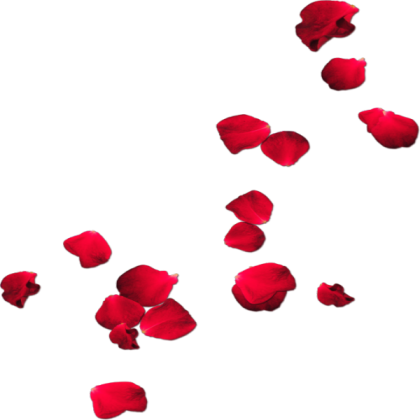 Transparent Rose Petals Roblox decal