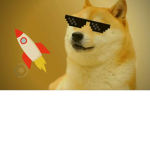 Doges apocalypse