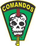 [B.A.C] -Batalhão de ações de comandos-