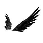 Immortal Shadow Wings