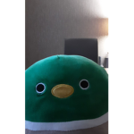 Rachel's random frogs