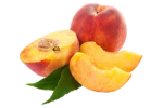 canned peach studio Group Thumbnail