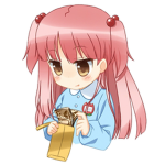 Payment +