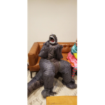 Godzilla’s group