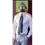 fortbrayan