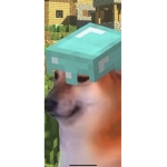 Fort forever