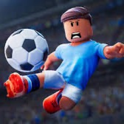 soccer chaoss