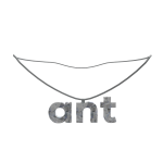ant 1.0