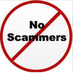 Sunflowerscammerspies