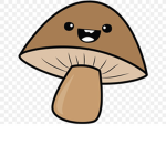 Mushroom Team!