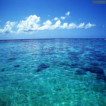 ocean-screensaver-wallpaper-preview Roblox decal