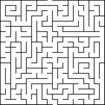 A maze