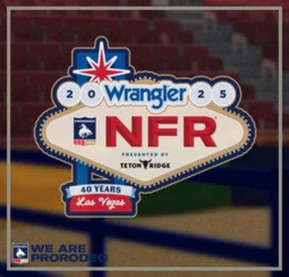 The NFR Experience Roblox group icon