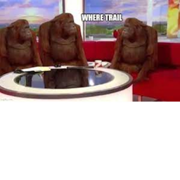 Monke Interview Center