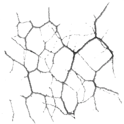 Cracks texture Roblox decal