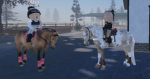River run riding academy