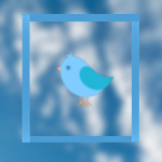 Fly-Bird Clothing