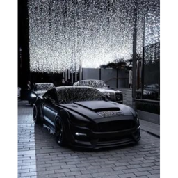 Black Car