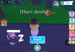 Havi dosh gang