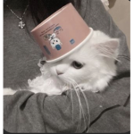 ヴァルスの魂