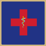 Imperial Chilean Medics