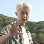 호랑해