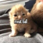 I made a group <3