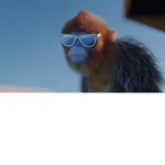 JOIN THE MONKEY ARMY OR DIE!!!!!