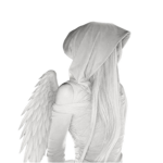 (FA)Falling Angels