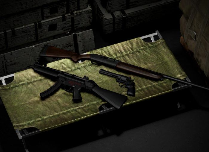 NMRiH:Enchanced Fire Weapons Pack preview 2