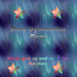 Stars Gymnastics's Gym