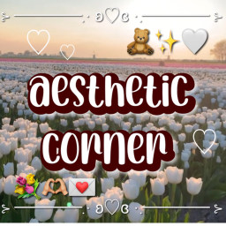 ~aesthetic corner!~