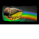 The Animal Tacos