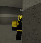 Any clothing <3