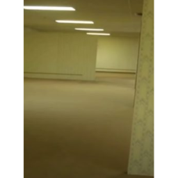 The Backroom (ANOTHER BACKROOMS IS BEING MADE)