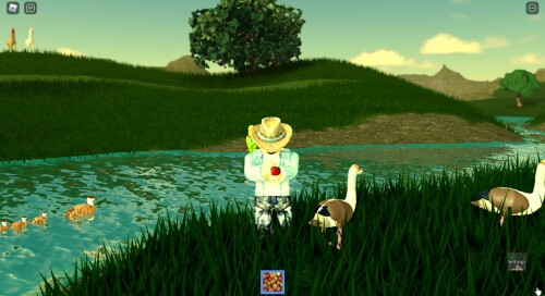 The Garden of Eden Experience