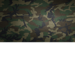 WH Legion