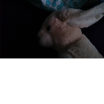 Find muumuu