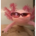 Nono fofoqueira