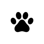 Pawzzz