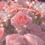 Sanguinolency 彡