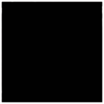RagPhysics